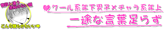 一途な言葉足らず