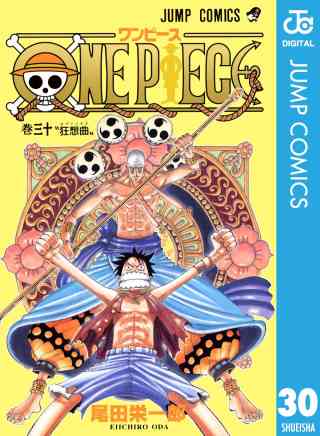 ONE PIECE モノクロ版 30巻