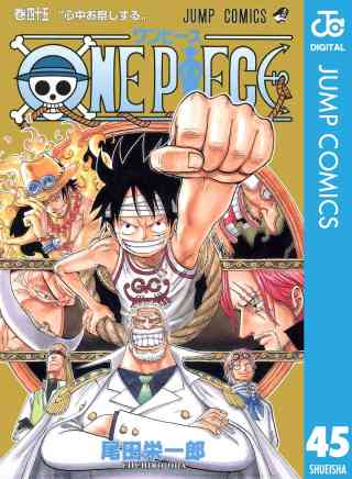 ONE PIECE モノクロ版 45巻