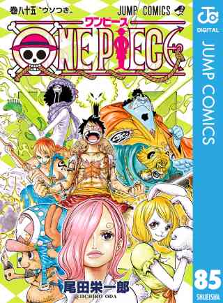 ONE PIECE モノクロ版 85巻