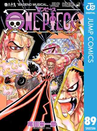 ONE PIECE モノクロ版 89巻