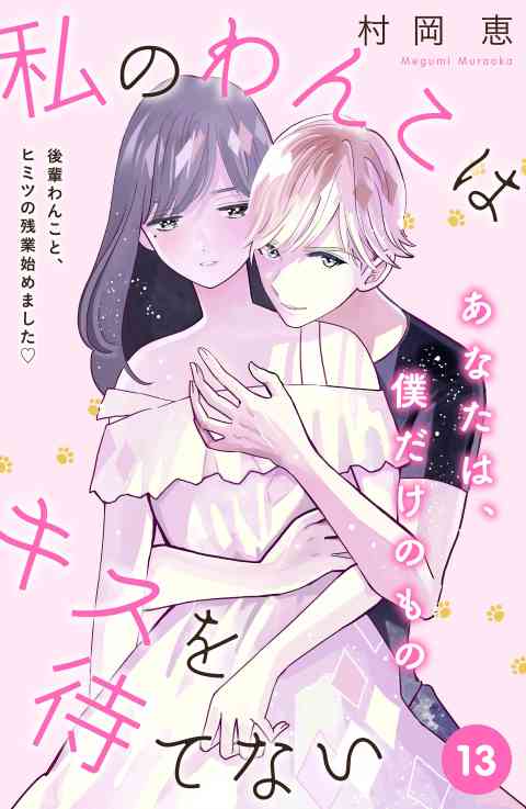 私のわんこはキスを待てない［ｃｏｍｉｃ　ｔｉｎｔ］分冊版 13巻