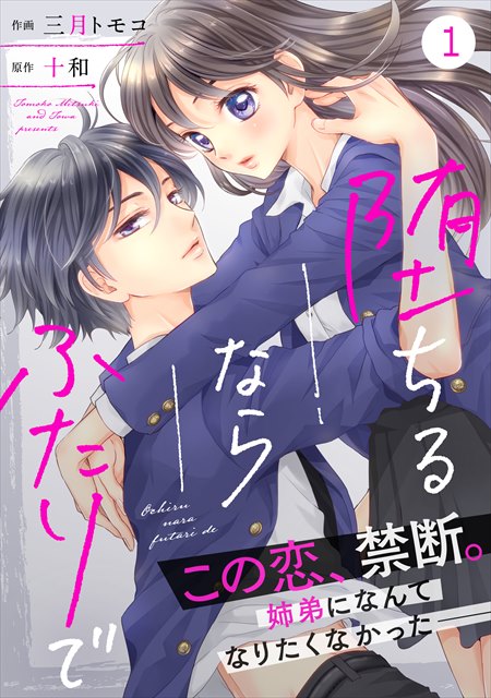 noicomi堕ちるならふたりで（分冊版）の書影