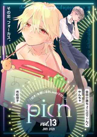 comic picn 13巻