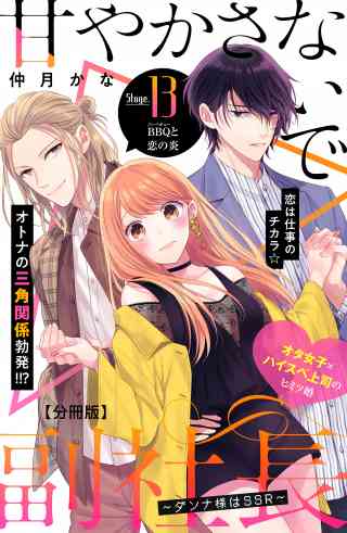 甘やかさないで副社長　〜ダンナ様はＳＳＲ〜　分冊版 13巻