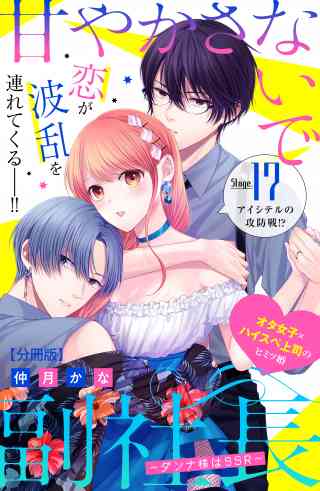 甘やかさないで副社長　〜ダンナ様はＳＳＲ〜　分冊版 17巻