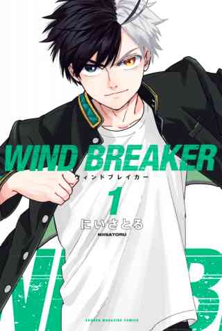 ＷＩＮＤ　ＢＲＥＡＫＥＲの書影