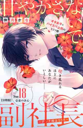 甘やかさないで副社長　〜ダンナ様はＳＳＲ〜　分冊版 18巻