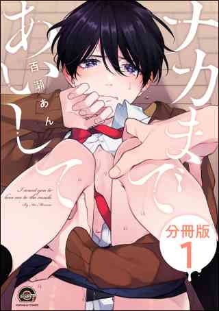 ナカまであいして（分冊版）の書影