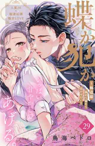 蝶か犯か　〜極道様　溢れて溢れて泣かせたい〜　分冊版 29巻