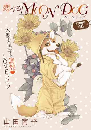 花ゆめAi　恋するMOON DOG 49巻