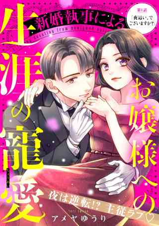 新婚執事によるお嬢様への生涯の寵愛［ｃｏｍｉｃ　ｔｉｎｔ］　分冊版の書影