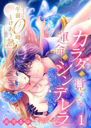 午前0時、とけあう熱〜カラダが覚えてる運命のシンデレラの書影