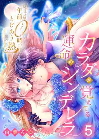 午前0時、とけあう熱〜カラダが覚えてる運命のシンデレラの書影